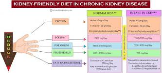 What is the ideal diabetic meal plan? What Entails A Kidney Diet In Chronickidneydisease All Things Kidney Official Medicine Renal Dietplan