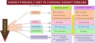 Renal disease is the name for a disease or condition that mainly affects the kidneys. What Entails A Kidney Diet In Chronickidneydisease All Things Kidney Official Medicine Renal Dietplan