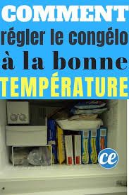 Comment Regler Le Congelateur A La Bonne Temperature De Conservation En 2020 Congelation Conservation Economies D Energie
