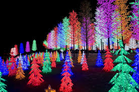Shah alam şehrinde en çok satan tesislerimizden biri! Ice City It Was Quite Impressive Especially With Big Tall Colourful Trees Shah Alam Beautiful Night Sky Christmas Lights