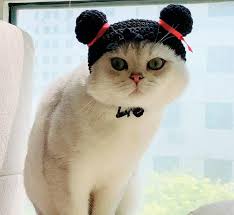 Hand Knit Cat Dog Snood Double Buns Cotton Yarn Cute Gift Pet Fashion Dog Snood Knitted Cat Cat Gifts