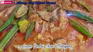 Hi semua, kali ni che nom nak share resepi masakan melayu yg sangat digemari ramai iaitu asam pedas ikan pari. Asam Pedas Ikan Manyung Lazaatt Youtube