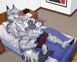 Rule34 - If it exists, there is porn of it  don, mazedmarten  6938430