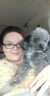 Tiny toy female puppy in Elberton, GA