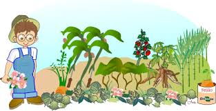 Jun 25, 2021 · manuel luís goucha tem feito algumas remodelações na sua casa e tem partilhado essas mudanças com os fãs. O Solo E O Plantio Na Agricultura Solos Portal Embrapa