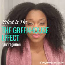 The ideal behind this method is that by creating warmth and moisture on your scalp, you are also creating the perfect atmosphere to open pores and follicles which allow for hair growth. What Is The Greenhouse Effect Hair Regimen
