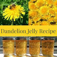 12 Flower Shaped Recipes Desserts Candydirect Com Jelly Recipes Dandelion Recipes Dandelion Jelly