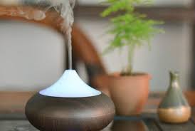 Diffusion Purifiez Votre Interieur Avec 4 Huiles Essentielles Geniales Note 5 1 Vote Les Huiles Essentielles Ont De Nombreuses Fonctions Huiles Essentielles
