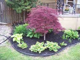 We did not find results for: Weeping Japanese Maple Garden Google Search Japanese Maple Tree Landscape Japanese Maple Garden Maple Tree Landscape