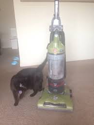 Hi Reddit I M Here To Make Your Day Suck Better The Vacuum Guy Is Back With An Updated Ama Iama