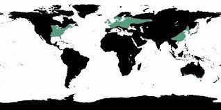 Deciduous Forest Location Map Temperate Deciduous Forests - Natureworks