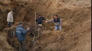 Garden Shaft pic from 2017 : r/OakIsland