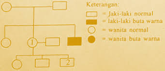 Download soal un biologi sma tahun 2019 pdf untuk latihan soal un 2020. Pembahasan Un Biologi Sma Tahun 2018 No 31 40 J4wab