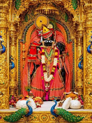 श्री रणछोडरायजी डाकोर (@ranchhodraiji.dakor) • Instagram photos and videos