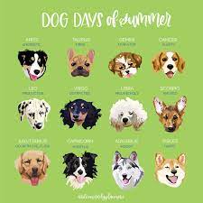 Dog Days Of Summer Happy National Dog Day Zodiac Pets Zodiac Signs Pets