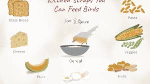 Check spelling or type a new query. What Kitchen Scraps Can Birds Eat