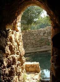 Maybe you would like to learn more about one of these? ×ž×¢×™×™× ×•×ª ×¡×˜×£ Inature