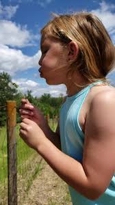 Let the outdoor specialists at sunco maintain your great outdoors. Omaha Organics Lawn Care Home Facebook