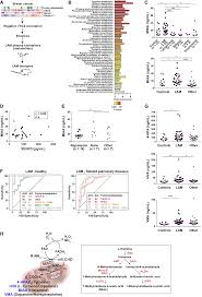 Histamine signaling and metabolism identify potential biomarkers and  therapies for lymphangioleiomyomatosis | EMBO Molecular Medicine