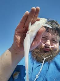 What can I use to fish at Elephant Butte?