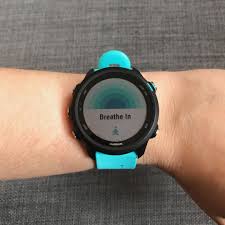 Forerunner 245 Music Aqua Garansi Resmi Tam 2 Tahun Info Dan Pemesanan Call Wa Decky 087834601568 Garmin Smartwatch Jam Tangan Pintar Berlari