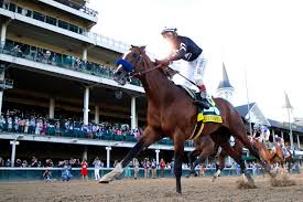 The brown horse's win at the kentucky derby also remains under review, with a final ruling on that still weeks away. Kentucky Derby Expert Picks 2021 Predictions Horseracing Net