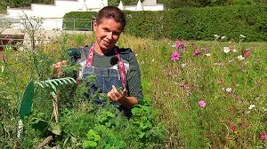 See more of almkraut & blüte on facebook. Eberraute Digestiv Baucherltroster Radio Burgenland