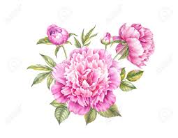 We did not find results for: Vintage Garland Of Blooming Peonies Watercolor Botanical Illustration Of A Flowers Template For Invitation Card Red And Pink Flowers With Green Leaves Are Isolated Over White Background Stock Photo Picture And Royalty