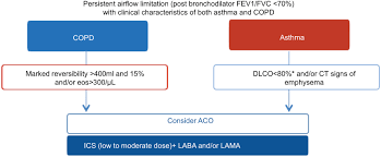 Asthma is the disease most often confused with chronic obstructive pulmonary disease. Diagnosis And Management Of Chronic Obstructive Pulmonary Disease In S Copd