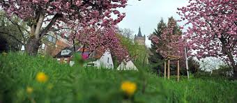 Welches Tier Wuhlt Nachts Im Garten Entwurfe Die Sie Inspirieren Von Welches Tier Wuhlt Nachts Im Garten Spd Kreis Kleve Bezuglich Welches Tier Wuhlt Nac Plants