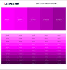 I purchased this watercolor palette as an upgrade to one similar to this: 5 Latest Color Schemes With Fuchsia And Fuchsia Color Tone Combinations 2021 Icolorpalette