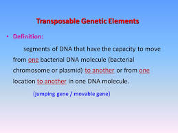 Bacterial Genetics Ppt Video Online Download
