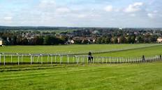 Image result for UK Horseracing New Hastings Centre Newmarket Facility for training racehorses