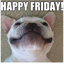 It's a free online image maker that allows you to add custom resizable text to images. Friday Memes Hahaha Tgif