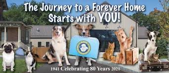 Find the best pet for adoption at the best pet ngo that rescued & sheltered 22,000+ dogs & cats. Save A Friend To Homeless Animals Home Facebook