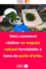 Voici Comment Realiser Un Engrais Naturel Formidable A Base De Purin D Ortie Healthy How To Plan