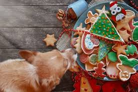 I make these every year when we put up our roll in cinnamon sugar to coat. Can Dogs Eat Gingerbread And Gingerbread Cookies Is It Safe