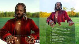 Afro pop, folk, r&b quality: Music Adekunle Gold Afro Pop Vol 1 Album Lucipost