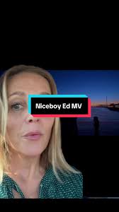 The MV for High Hopes By Niceboy Ed! #greenscreen #swifttok #TaylorSwi...