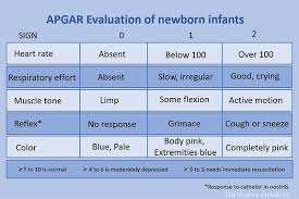 Image result for APGAR Score