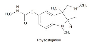 Image result for Physostigma