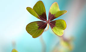 Clover health investments corp is a healthcare technology company. N9w7xbm1oeaf3m