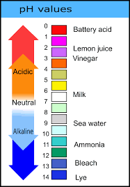 Download Free Png Ph Values Chart Dlpng Com