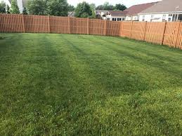 My grass is all burned now. Zebra Stripes In Lawn After Scotts Weed And Feed Please Help
