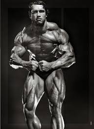 Here are some of his best quotes on strength, family, and arnold schwarzenegger has had a career that most could only dream of, from champion bodybuilder to legendary action star to elected public official. Arnold Most Musclar Arnold Schwarzenegger Bodybuilding Bodybuilding Quotes Bodybuilding