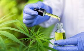 Cbd Vraiment Efficace Contre Les Douleurs Articulaires