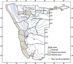 Image result for Eriocephalus luederitzianus
