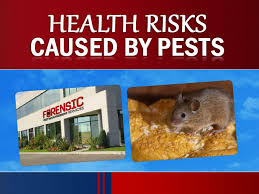 Perform a free twin falls county, id public voter records search, including voter registration checks, requirements, eligibility, voting districts, precincts and poll locations twin falls county voter records are documents that list information about a registered voters in twin falls county, idaho. Ppt Health Risks Caused By Pests Opt For Pest Control Powerpoint Presentation Id 1502016