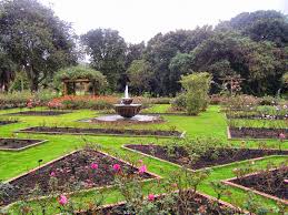 You can use the special requests box when booking, or contact the property directly with the contact. One Of My Favorite Places In The World Bogota Botanical Garden Jardin Botanico De Bogota Charlie Billups