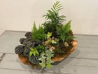 Wine & Vine Driftwood Garden